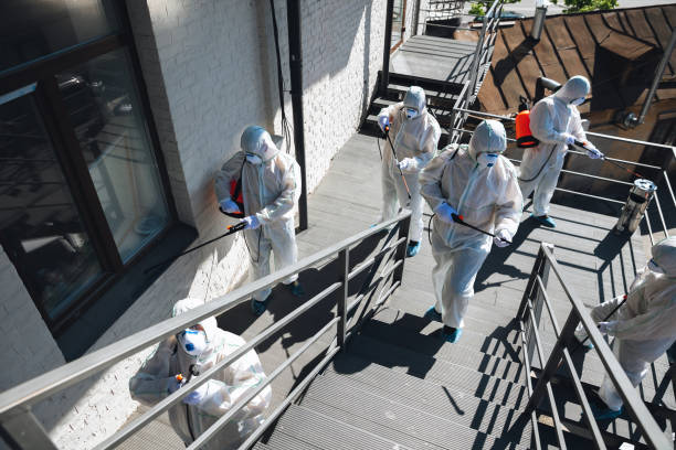 Mold Odor Removal Services in Atwater, MN