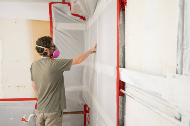 Best Mold Remediation for Healthcare Facilities  in Atwater, MN