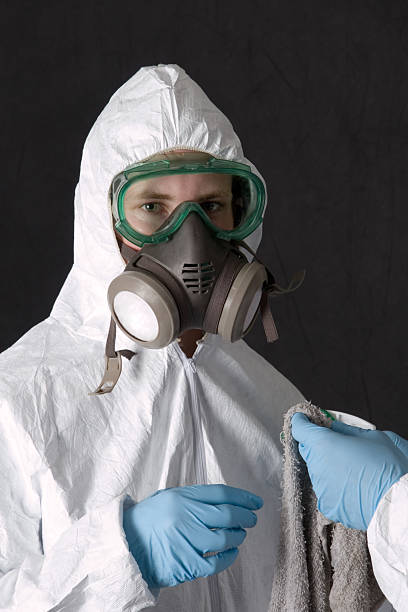 Mold Removal for HVAC Installations in Atwater, MN